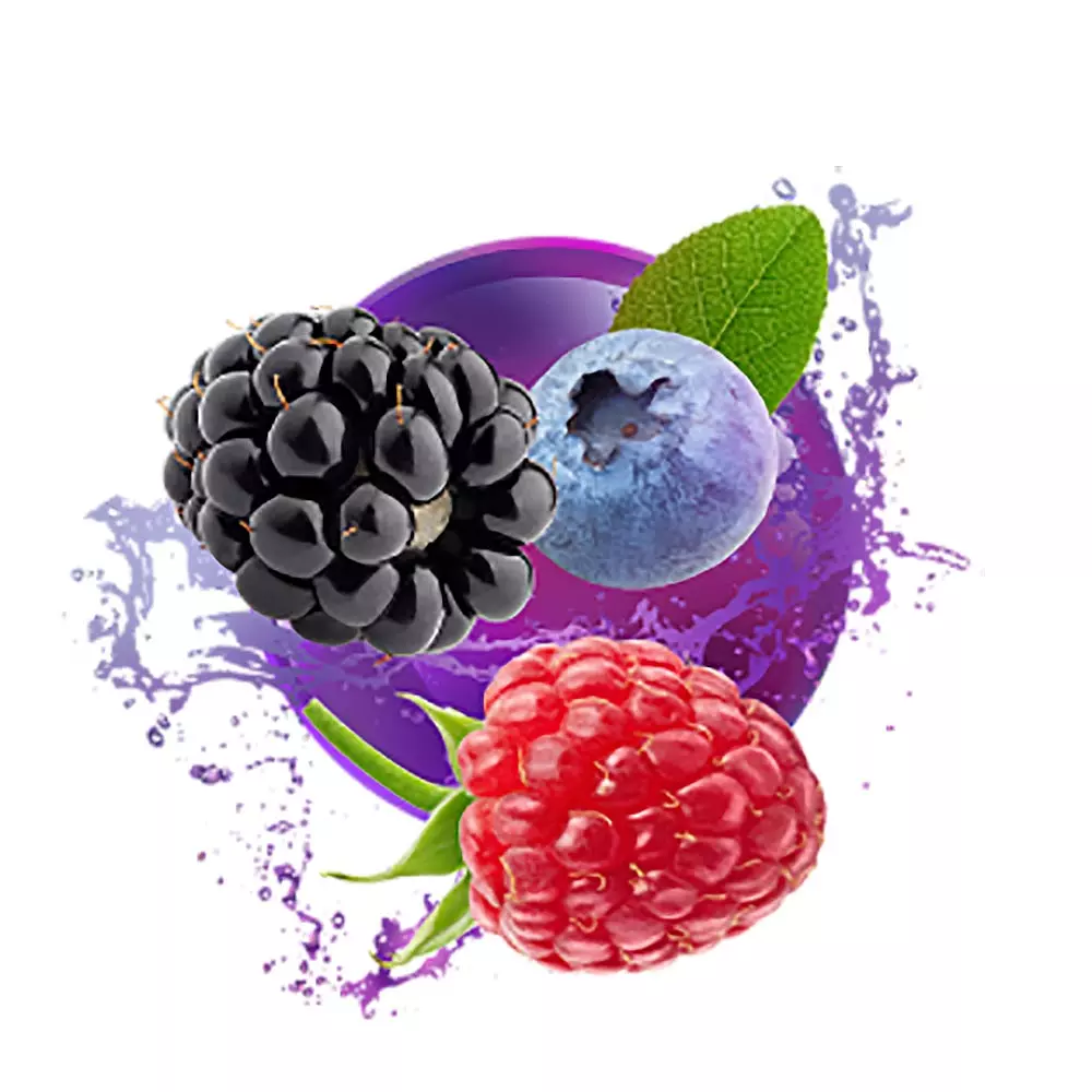 Kent Sticks - Berry Click (10 packs)